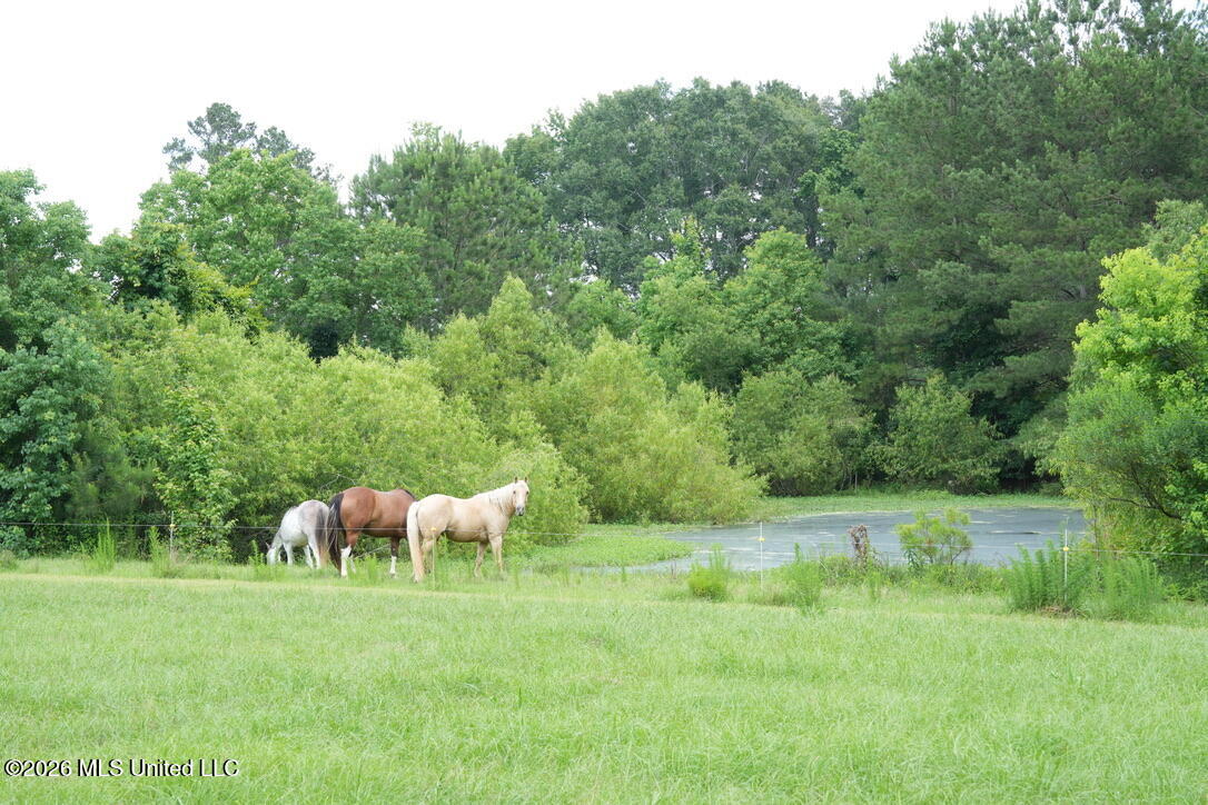 6594 Miller Road Smithdale, MS 39664 - Photo 19 of 45 9D91E9FB-A09A-44F8-9C82-A52B033F20FD_1_1