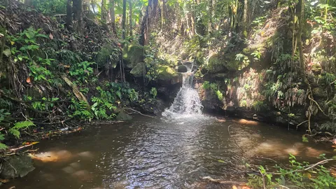 $888,000 | 32-1048 Old Mamalahoa Highway, Ninole, HI 96773