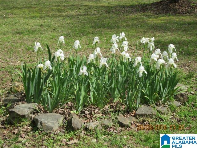 1605 Renfroe Road Talladega, AL 35160 - Photo 35 of 40 Gallery Image 35