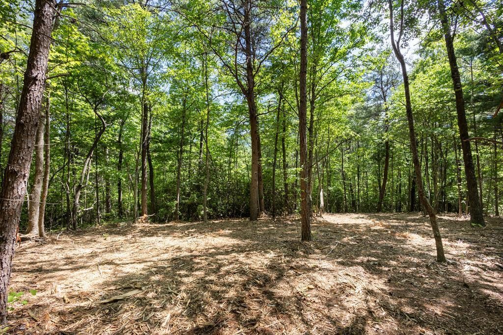 40 Donley Road Murphy, NC 28906 - Photo 9 of 14 Gallery Image 9