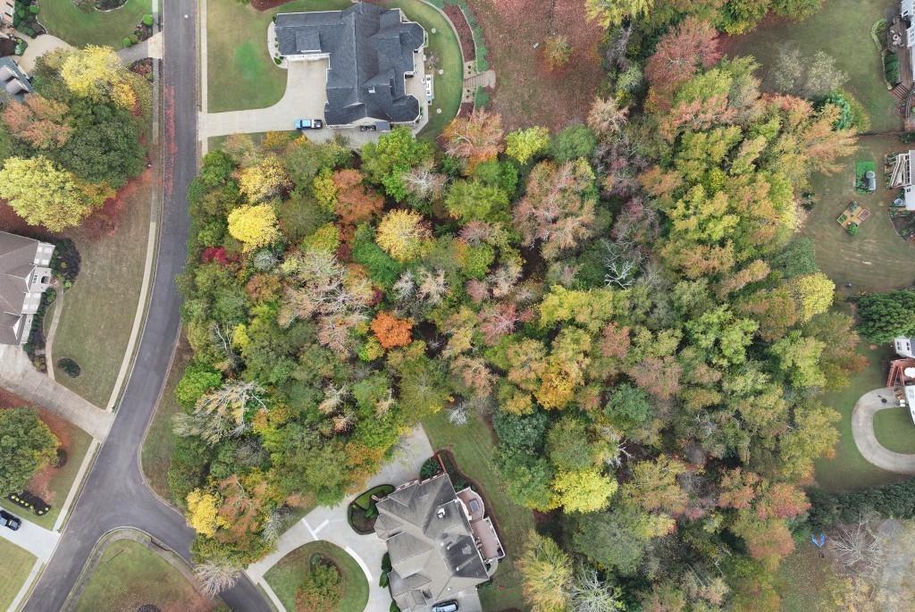 951 Ardmore Trail Hoschton, GA 30548 - Photo 6 of 8