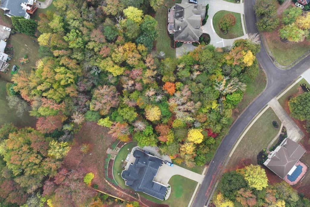 951 Ardmore Trail Hoschton, GA 30548 - Photo 8 of 8