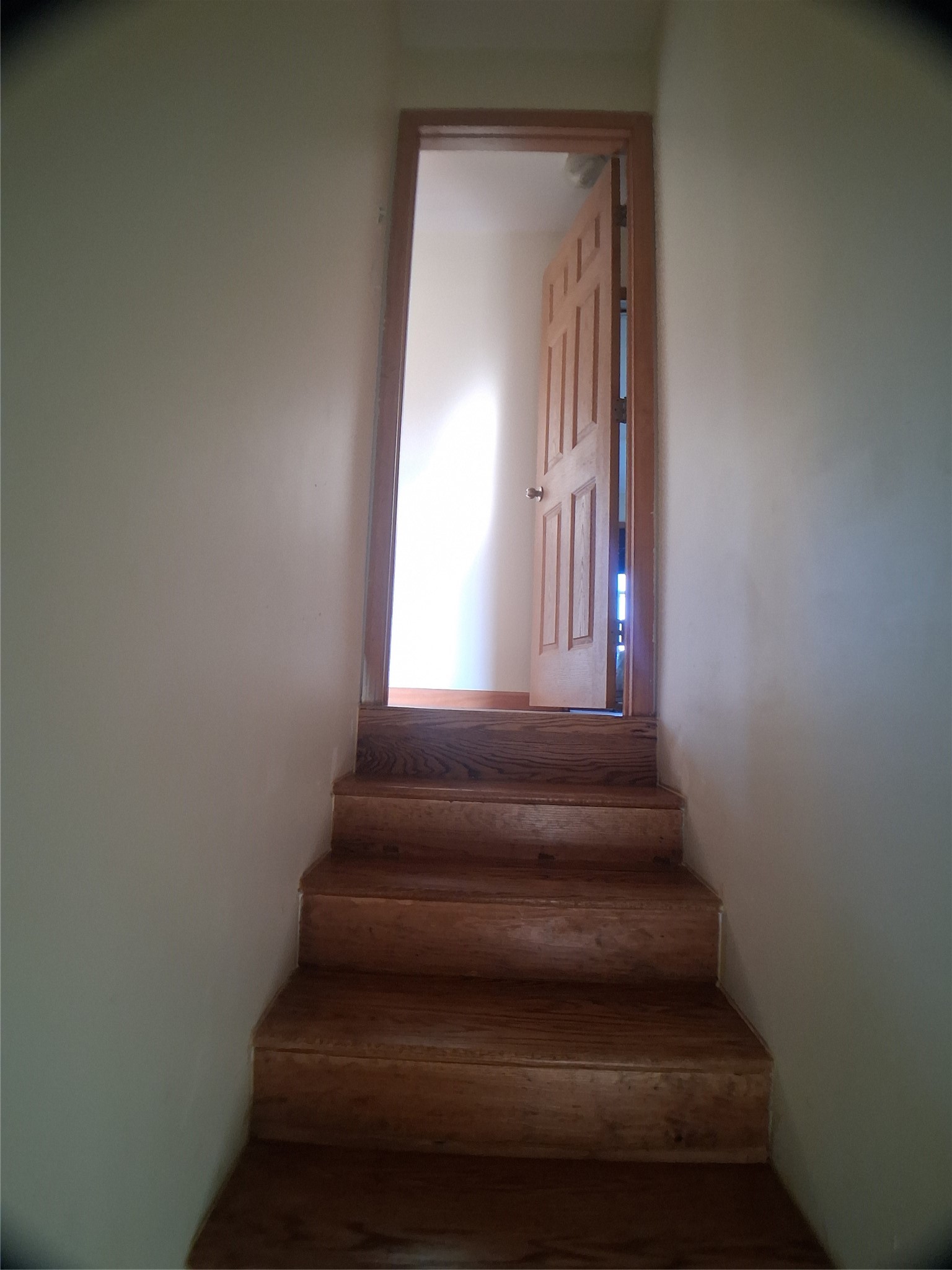 50 Penelope Road Triangle, NY 13862 - Photo 28 of 39