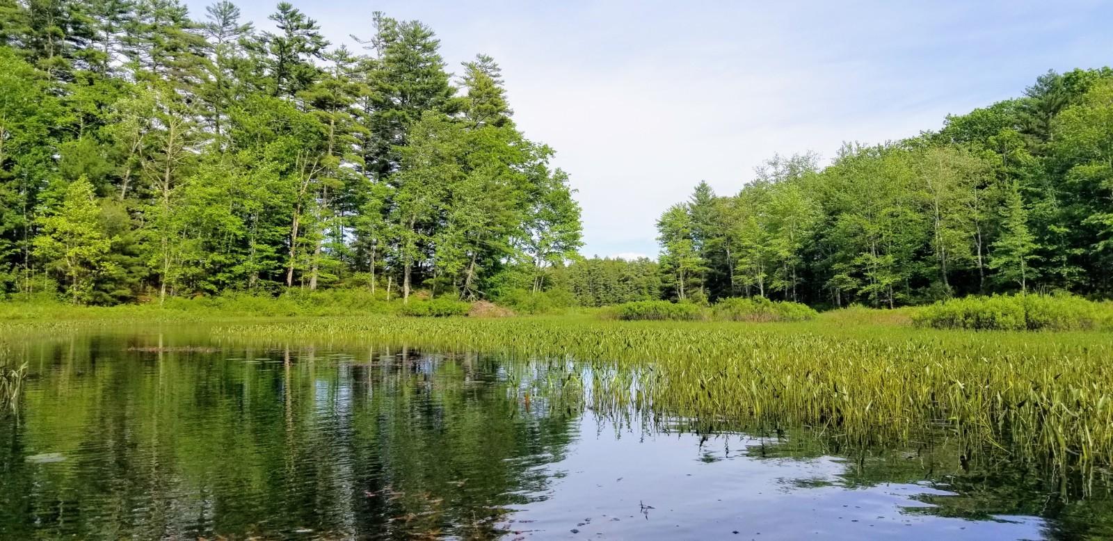 73 Clark Point Road Jefferson, ME 04348 - Photo 23 of 25 23 taken from around the cove