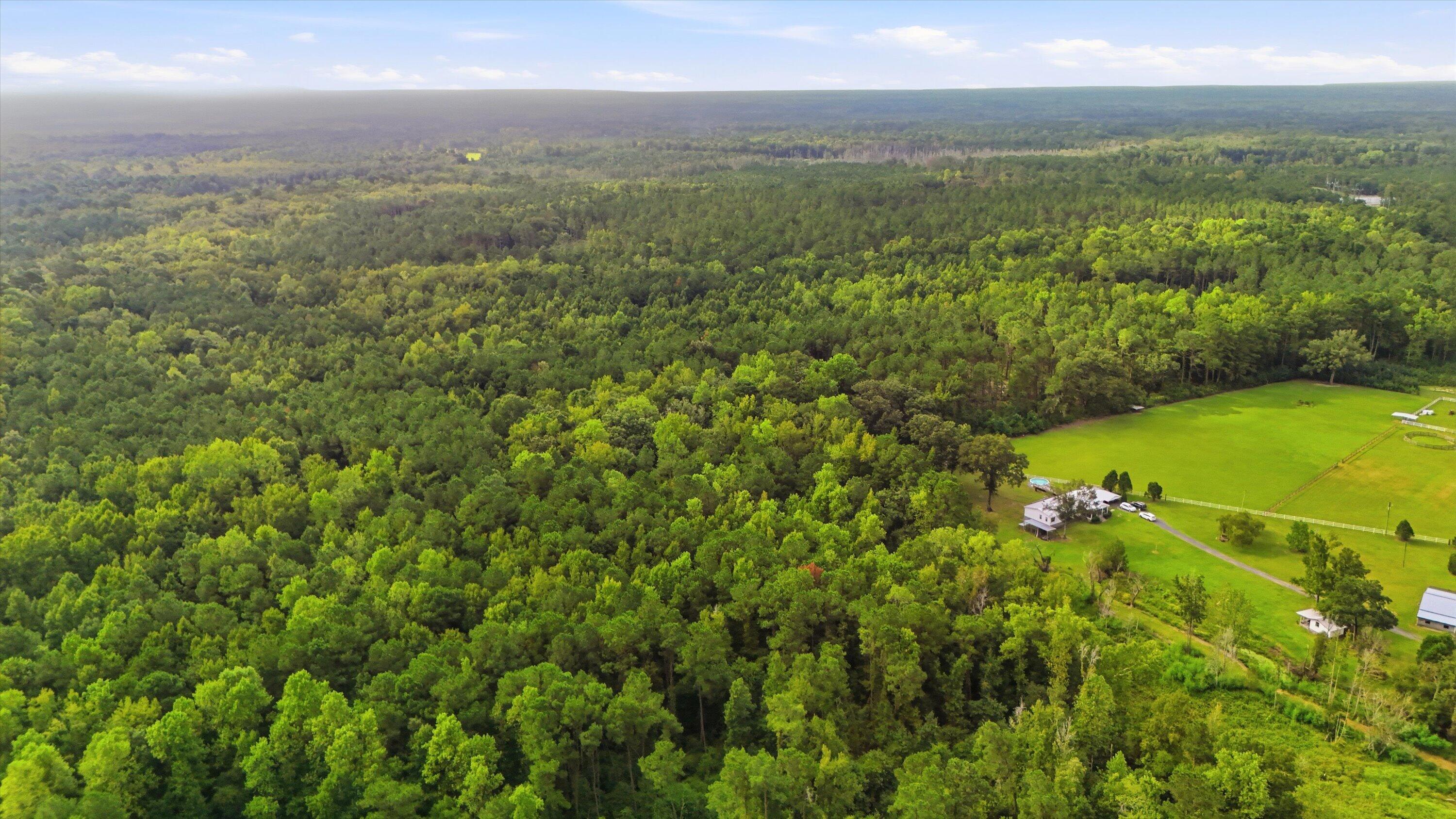 0 Barracada Road Walterboro, SC 29488 - Photo 22 of 26 22-020_DJI_20260910100002_0035_D