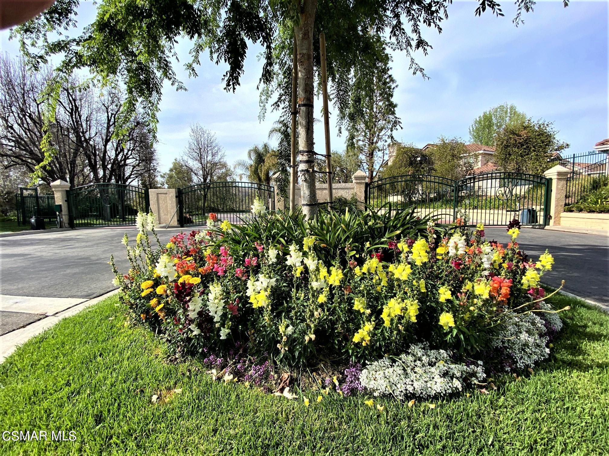 290 Ridgeton Lane, Unit B Simi Valley, CA 93065 - Photo 4 of 25 a view of a flower in a garden