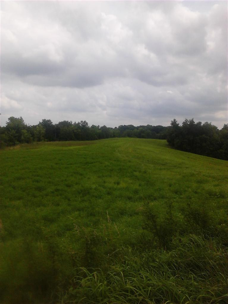 929 Bishop Ridge Road Falmouth, KY 41040 - Photo 3 of 4 Gallery Image 3