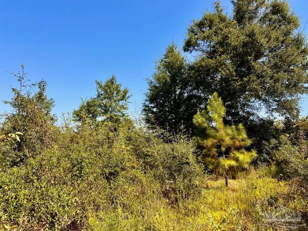 $165,000 | Lot 7 Sounder Drive, Molino, FL 32577