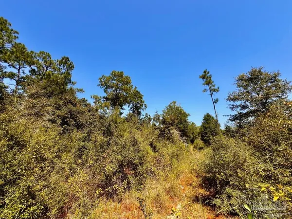 $165,000 | Lot 7 Sounder Drive, Molino, FL 32577