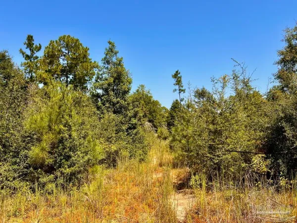$165,000 | Lot 7 Sounder Drive, Molino, FL 32577