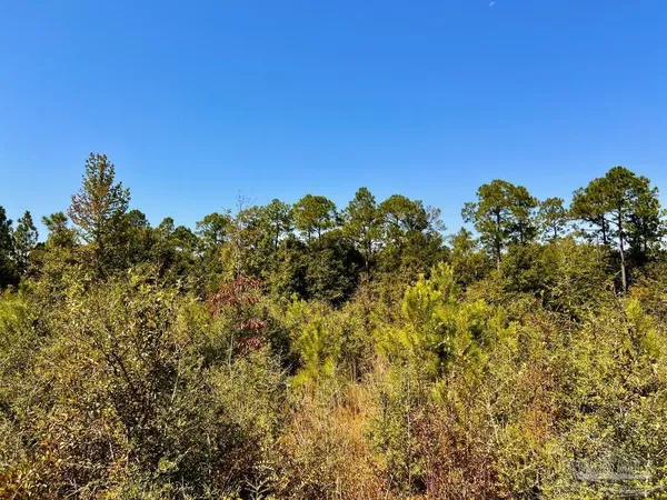 $165,000 | Lot 7 Sounder Drive, Molino, FL 32577