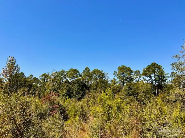 $165,000 | Lot 7 Sounder Drive, Molino, FL 32577