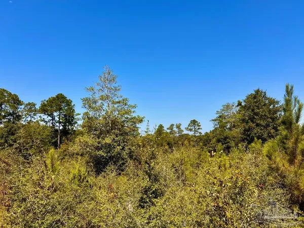 $165,000 | Lot 7 Sounder Drive, Molino, FL 32577