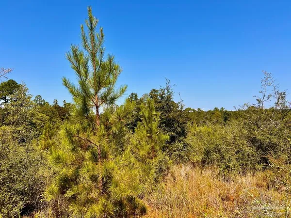 $165,000 | Lot 7 Sounder Drive, Molino, FL 32577