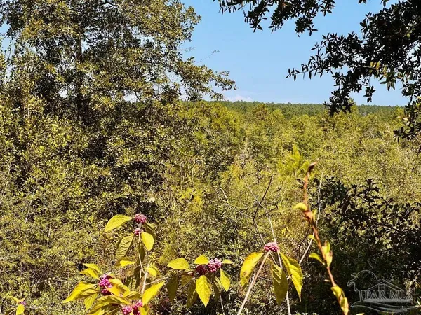 $165,000 | Lot 7 Sounder Drive, Molino, FL 32577
