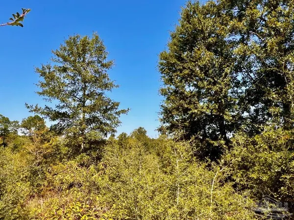 $165,000 | Lot 7 Sounder Drive, Molino, FL 32577