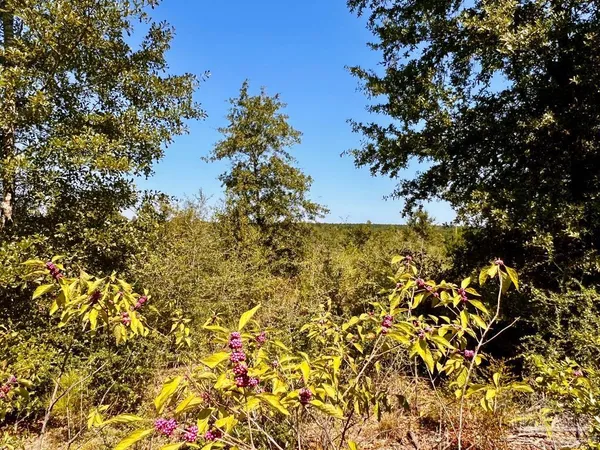 $165,000 | Lot 7 Sounder Drive, Molino, FL 32577