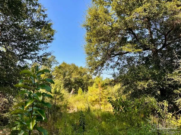 $165,000 | Lot 7 Sounder Drive, Molino, FL 32577
