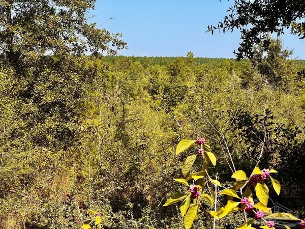 $165,000 | Lot 7 Sounder Drive, Molino, FL 32577