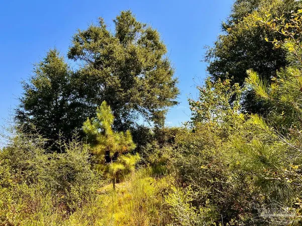 $165,000 | Lot 7 Sounder Drive, Molino, FL 32577