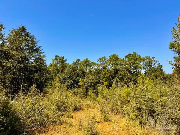 $165,000 | Lot 7 Sounder Drive, Molino, FL 32577