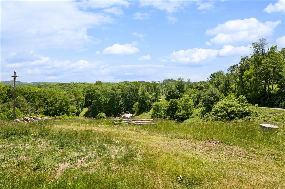 244 Flat Springs Road Elk Park, NC 28622 - Photo 19 of 29