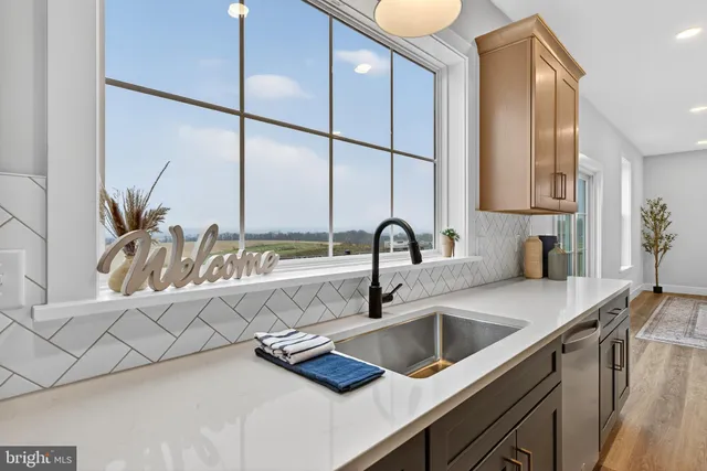 a kitchen with a sink and a potted plant