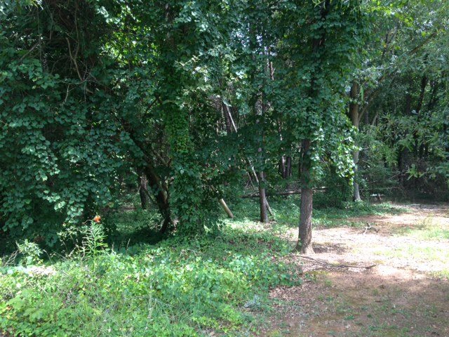 0 Hidden Point Hartwell, GA 30643 - Photo 2 of 3