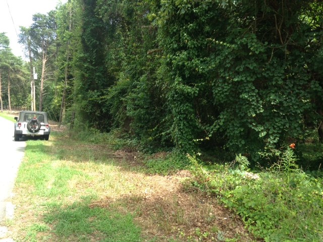 0 Hidden Point Hartwell, GA 30643 - Photo 3 of 3