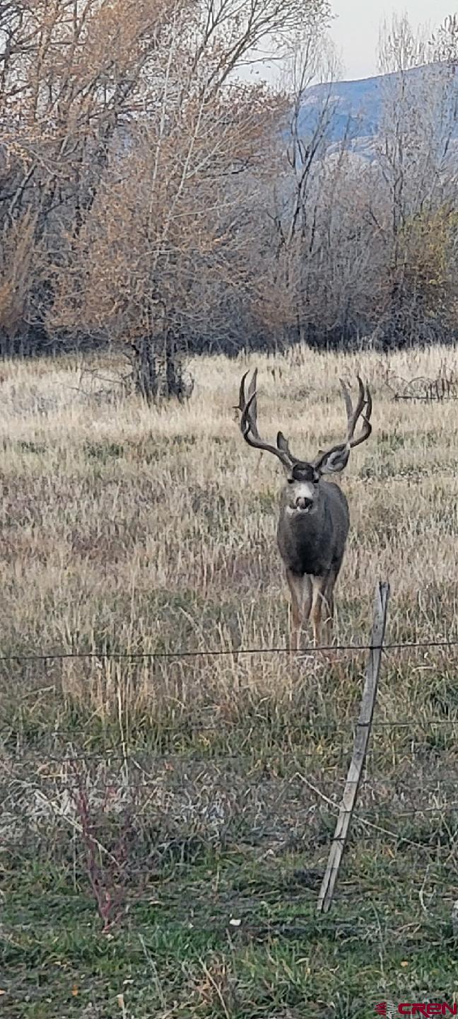 a view of water covered with snow