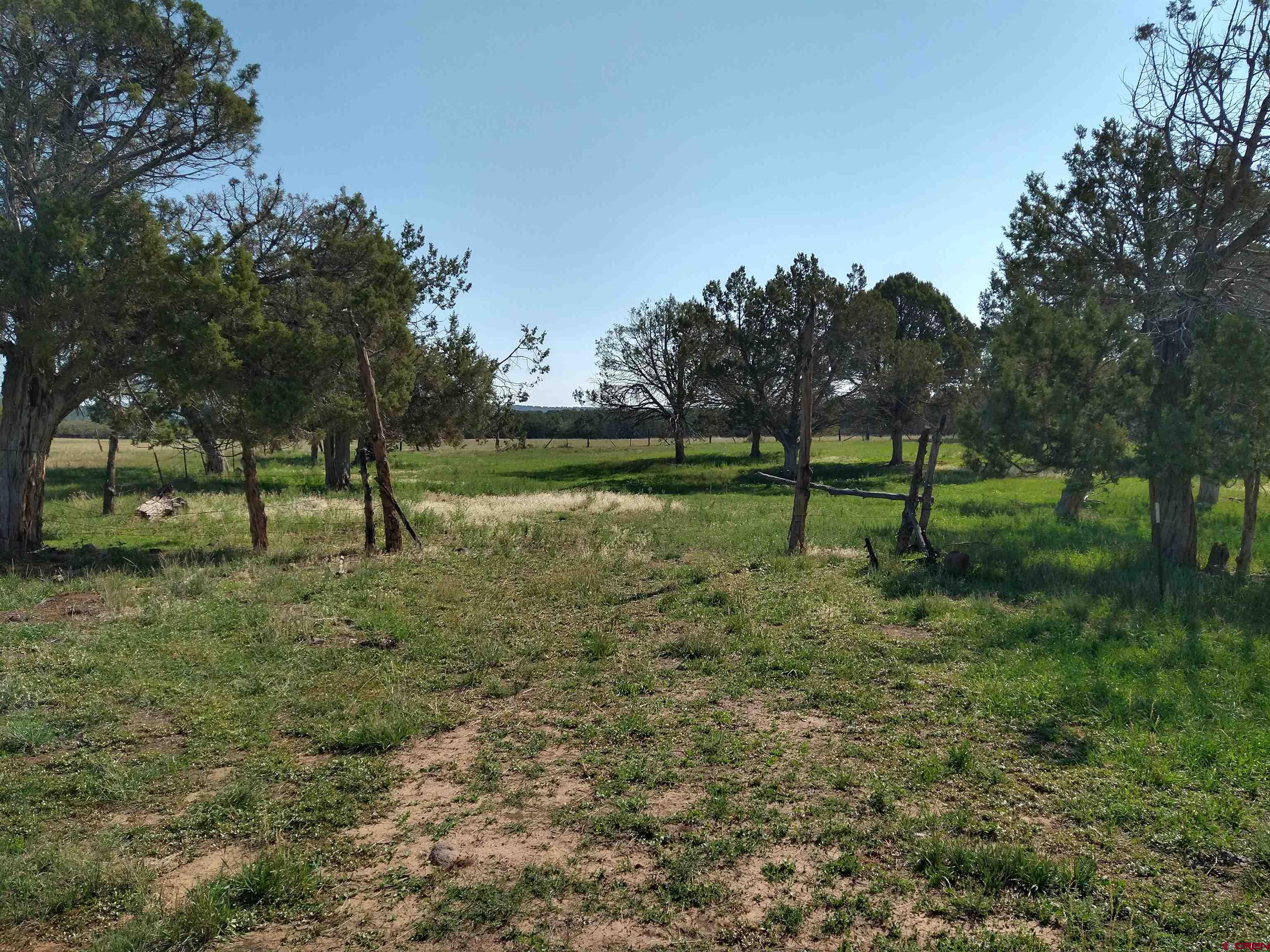 20122 2375th Road Cedaredge, CO 81413 - Photo 12 of 26 a view of a park