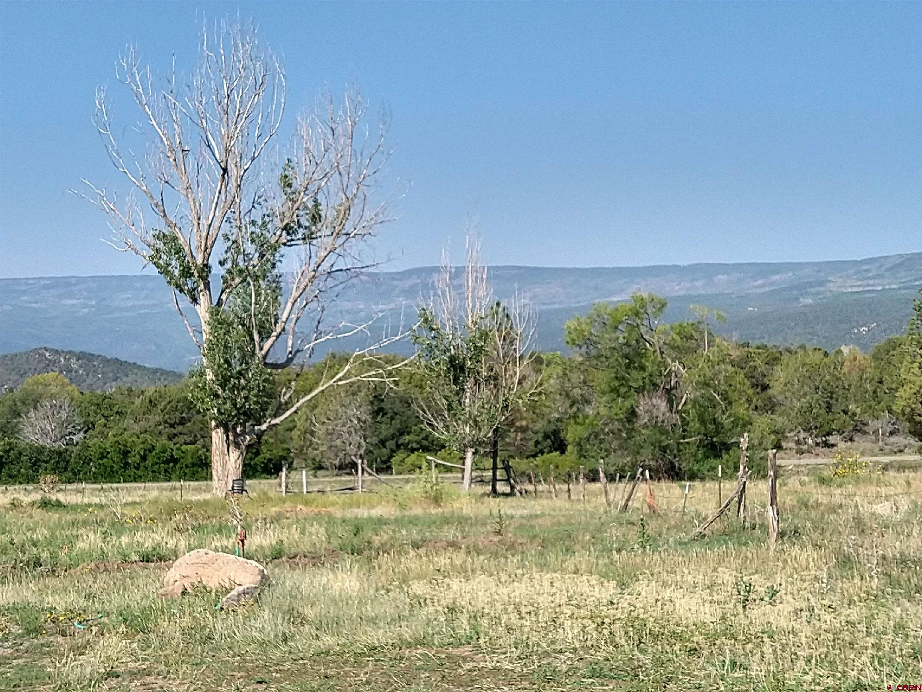 20122 2375th Road Cedaredge, CO 81413 - Photo 15 of 26 a view of a garden with a tree