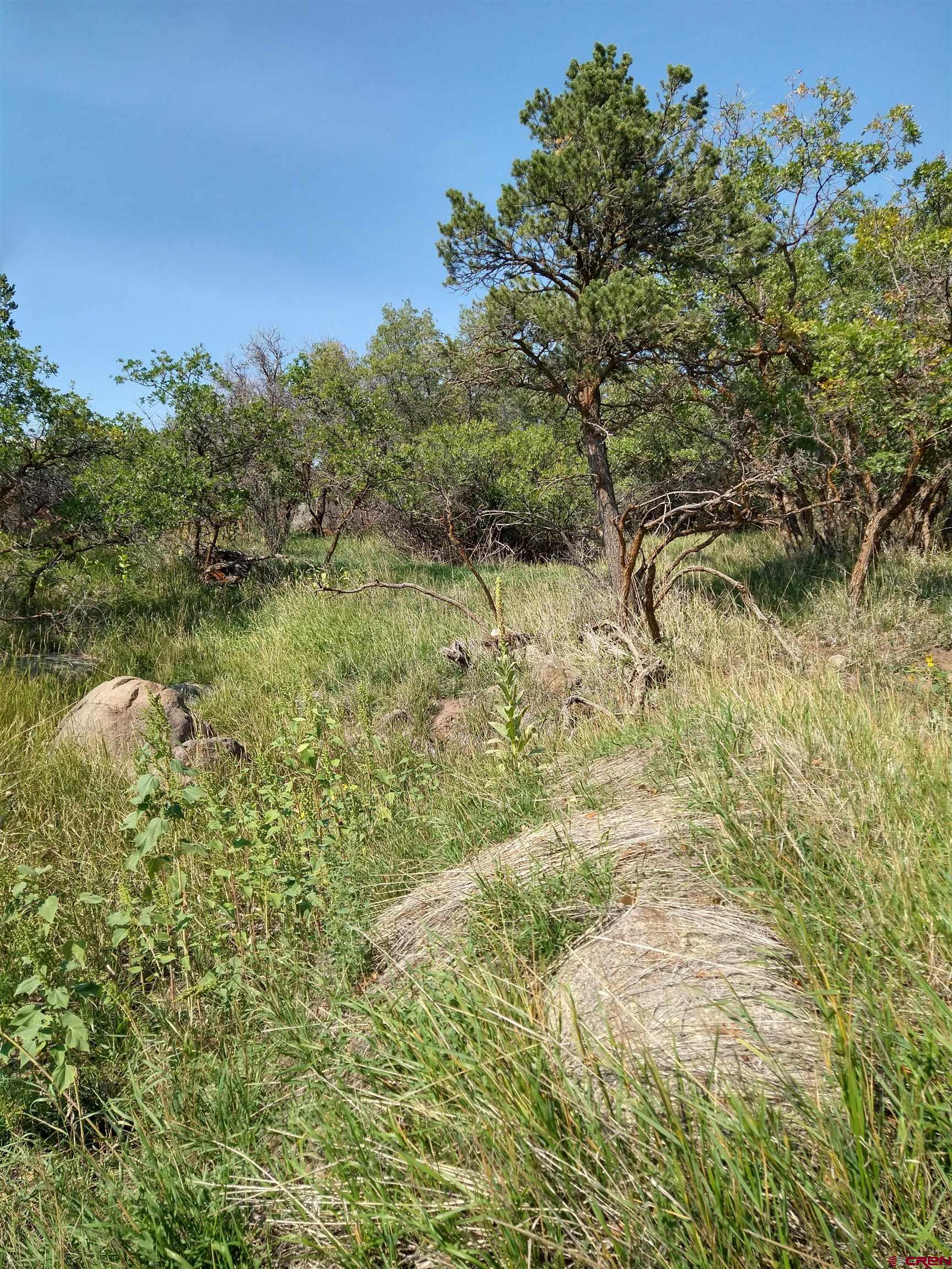 20122 2375th Road Cedaredge, CO 81413 - Photo 18 of 26 a view of a lake with houses
