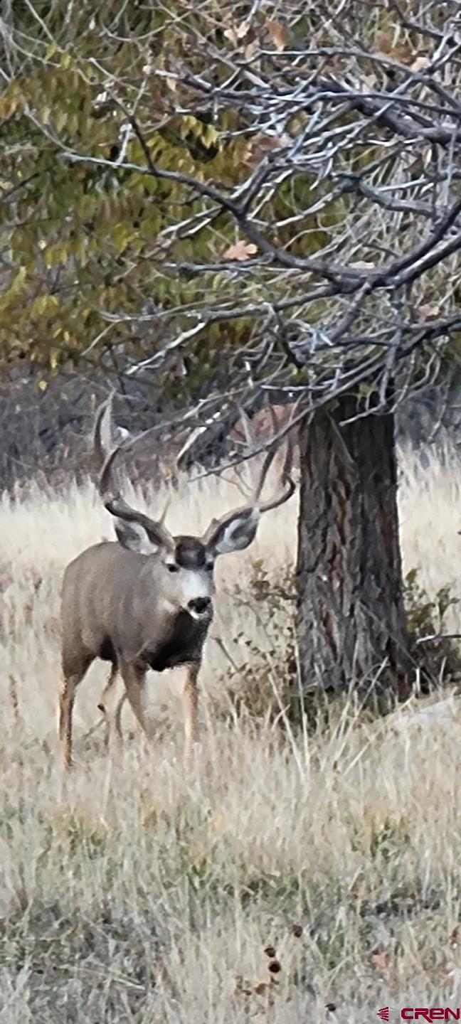 20122 2375th Road Cedaredge, CO 81413 - Photo 2 of 26