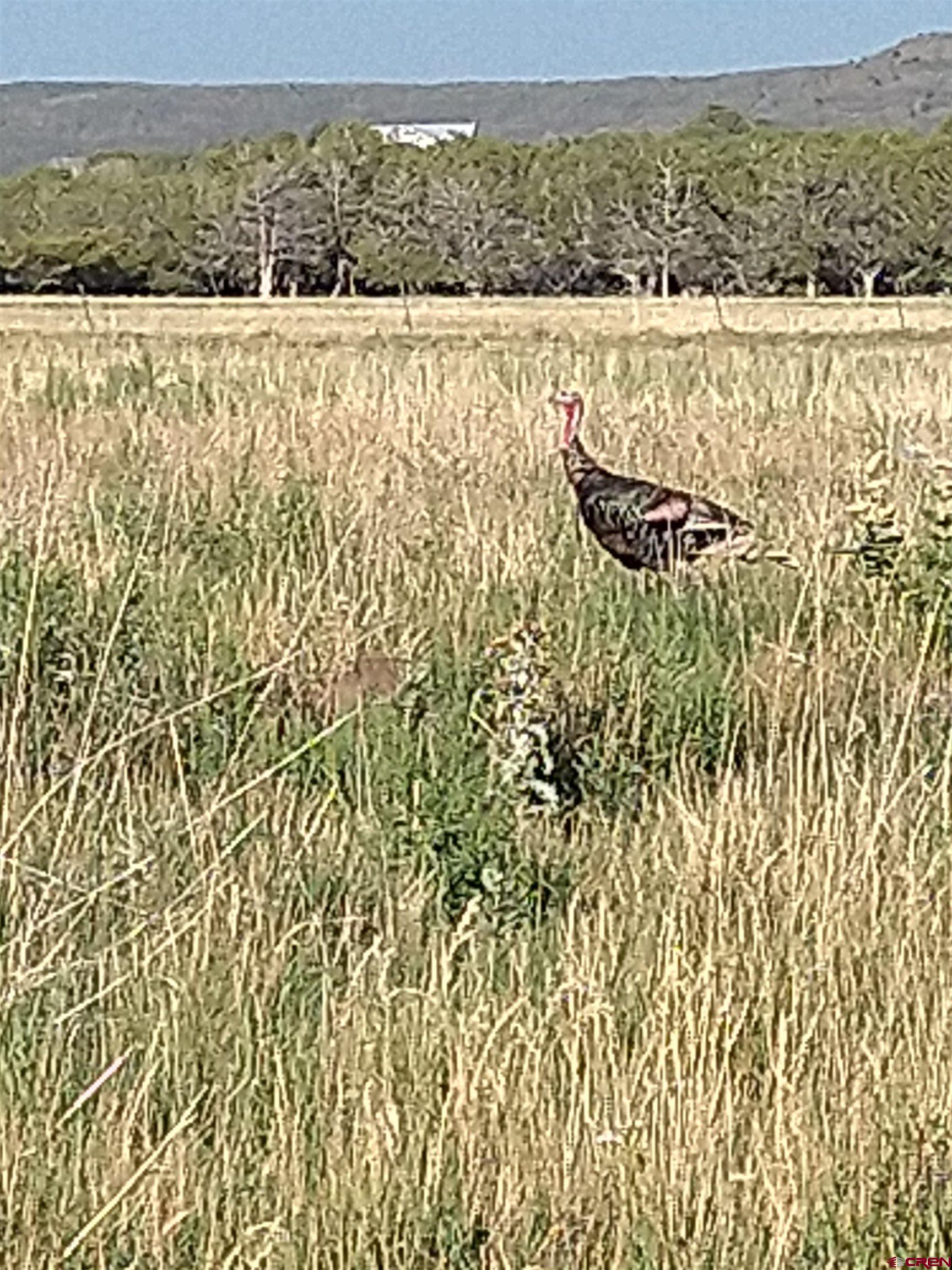 20122 2375th Road Cedaredge, CO 81413 - Photo 21 of 26 a view of city with ocean