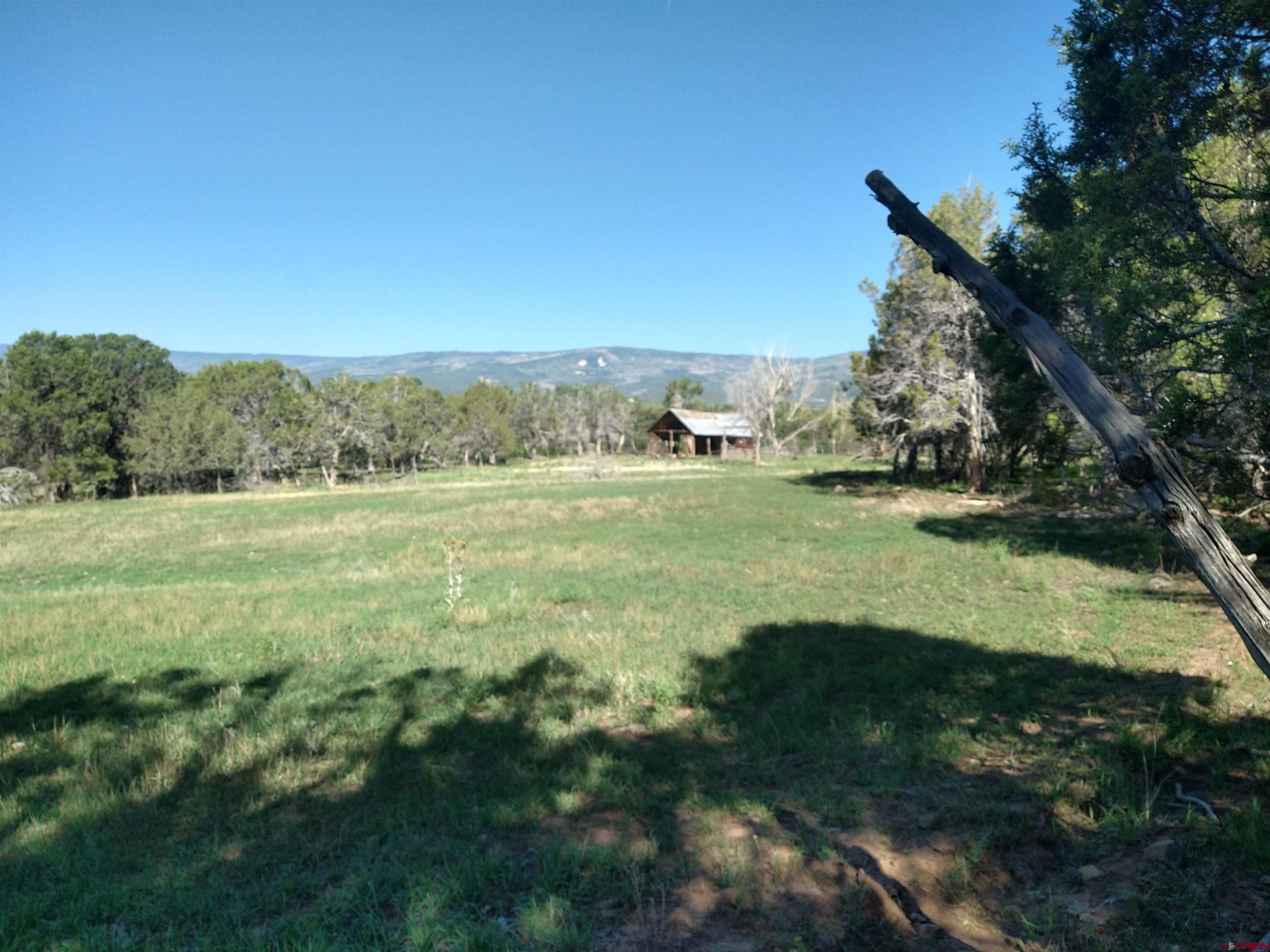 20122 2375th Road Cedaredge, CO 81413 - Photo 5 of 26 a view of an outdoor space and a yard