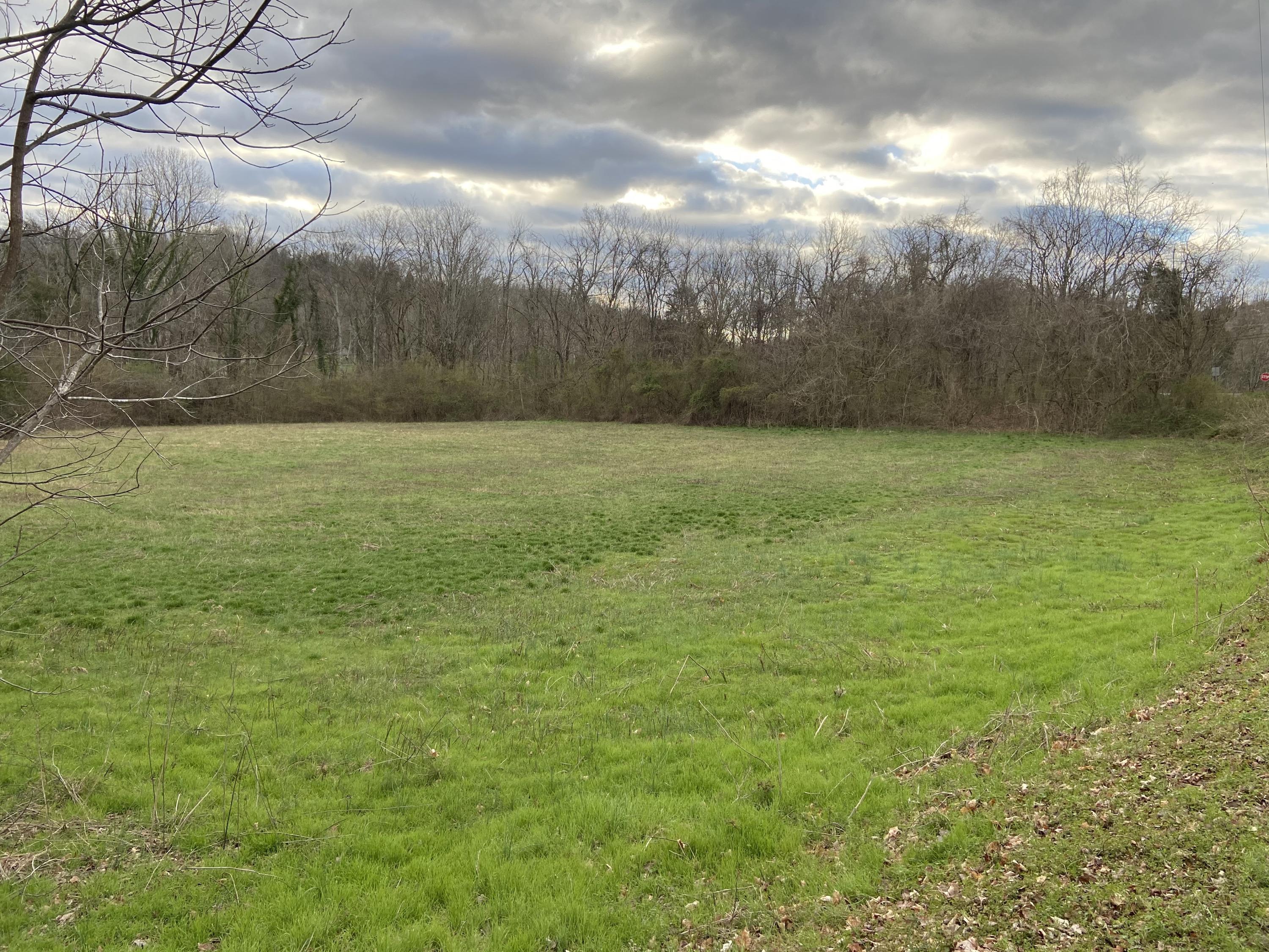 Cox Road Louisville, TN 37777 - Photo 8 of 12 Cox Road Frontage