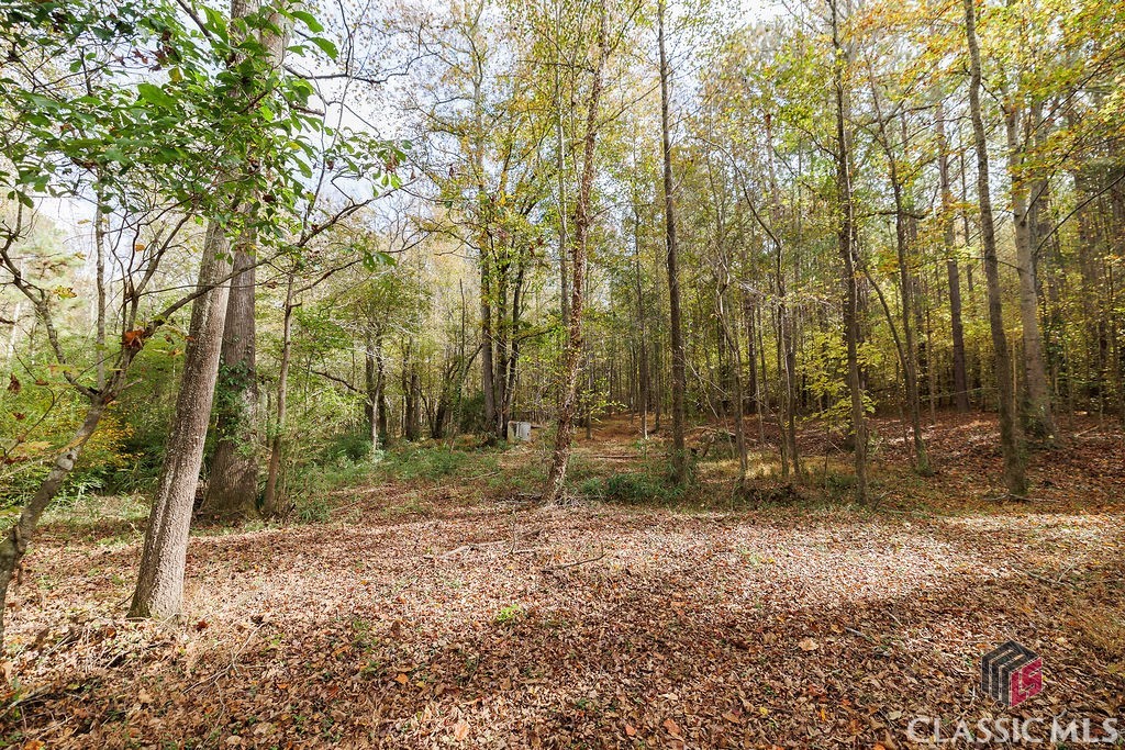 445 Hale Lane, Unit 4 Athens, GA 30607 - Photo 28 of 44