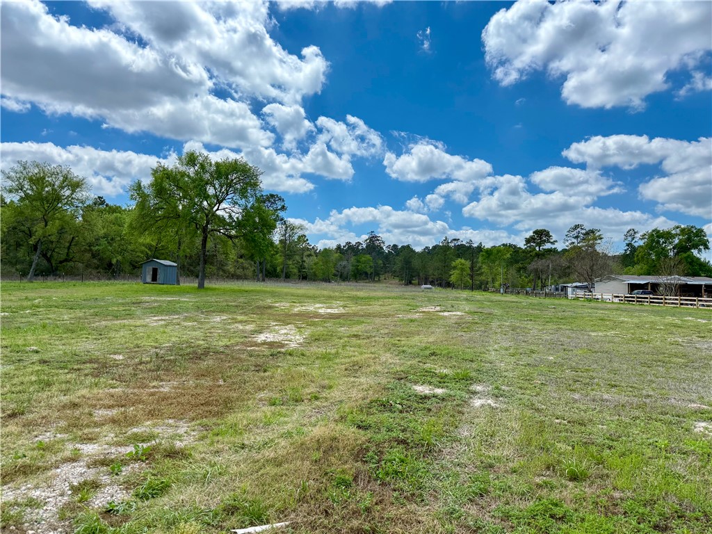 12082 State Highway 30 Anderson, TX 77830 - Photo 16 of 18