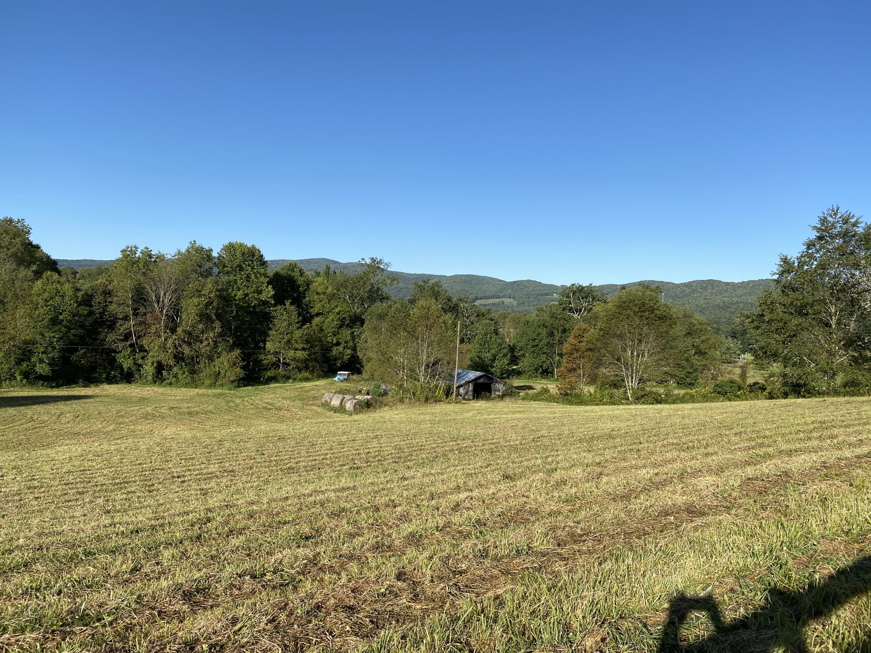 376 Brickyard Branch Road Shady Valley, TN 37688 - Photo 29 of 41 IMG_0334