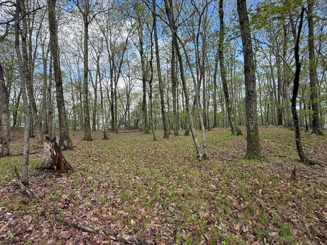 a view of a backyard of the house