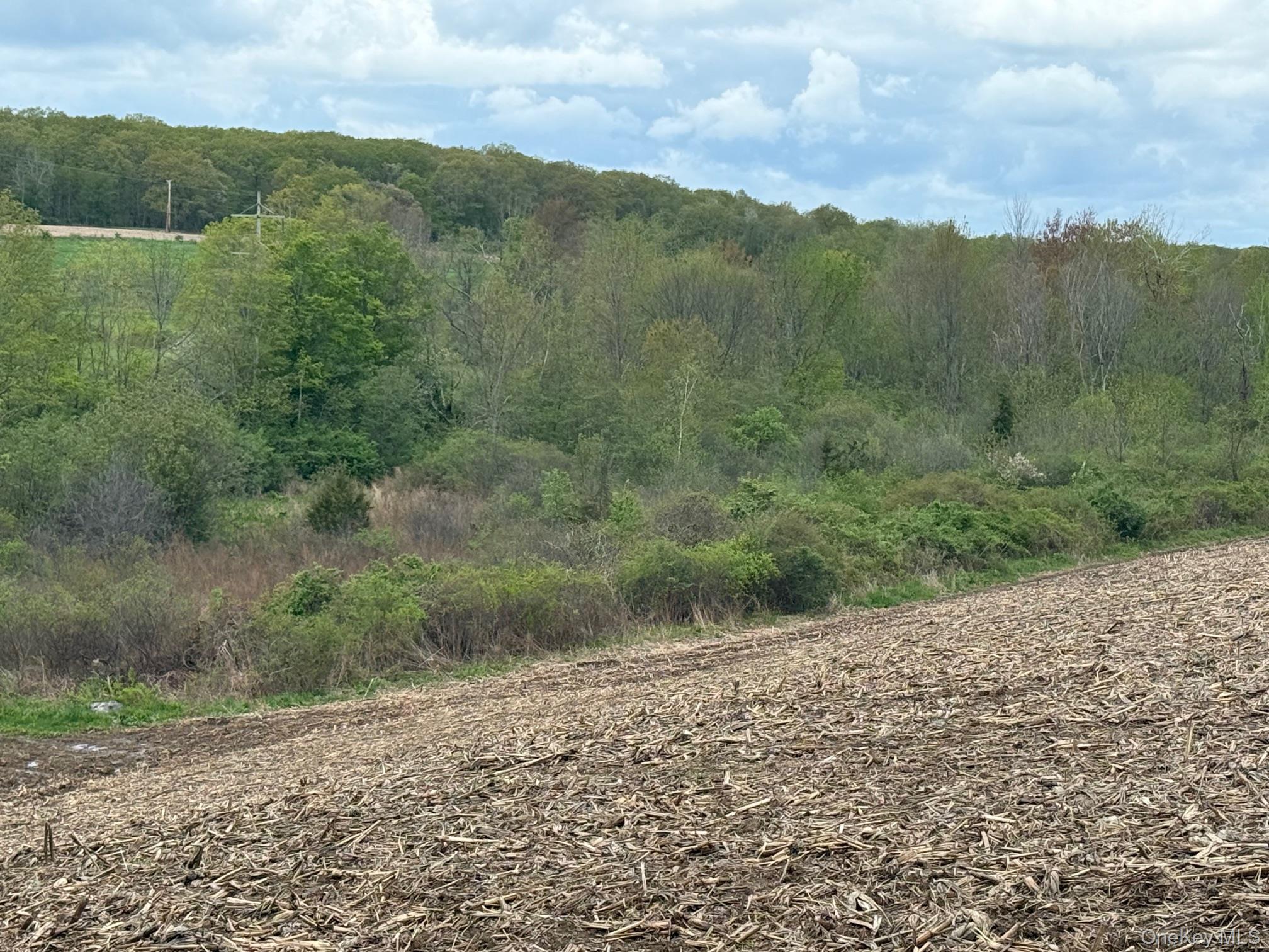 Skunks Misery Road Millerton, NY 12546 - Photo 12 of 23 a view of a valley