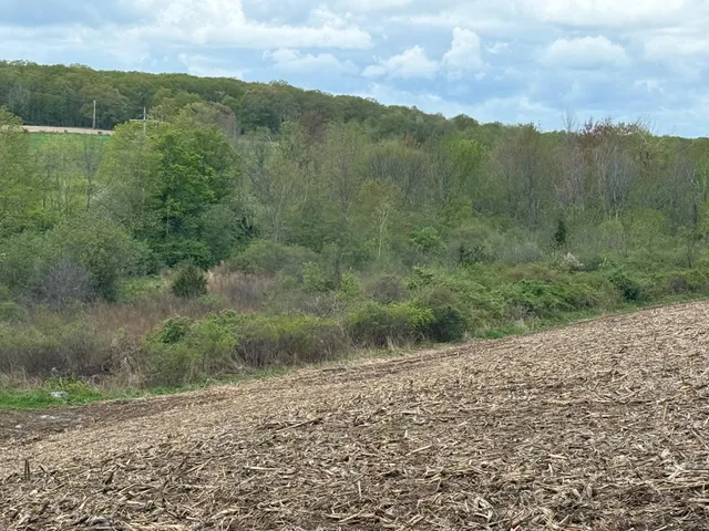 a backyard of a house