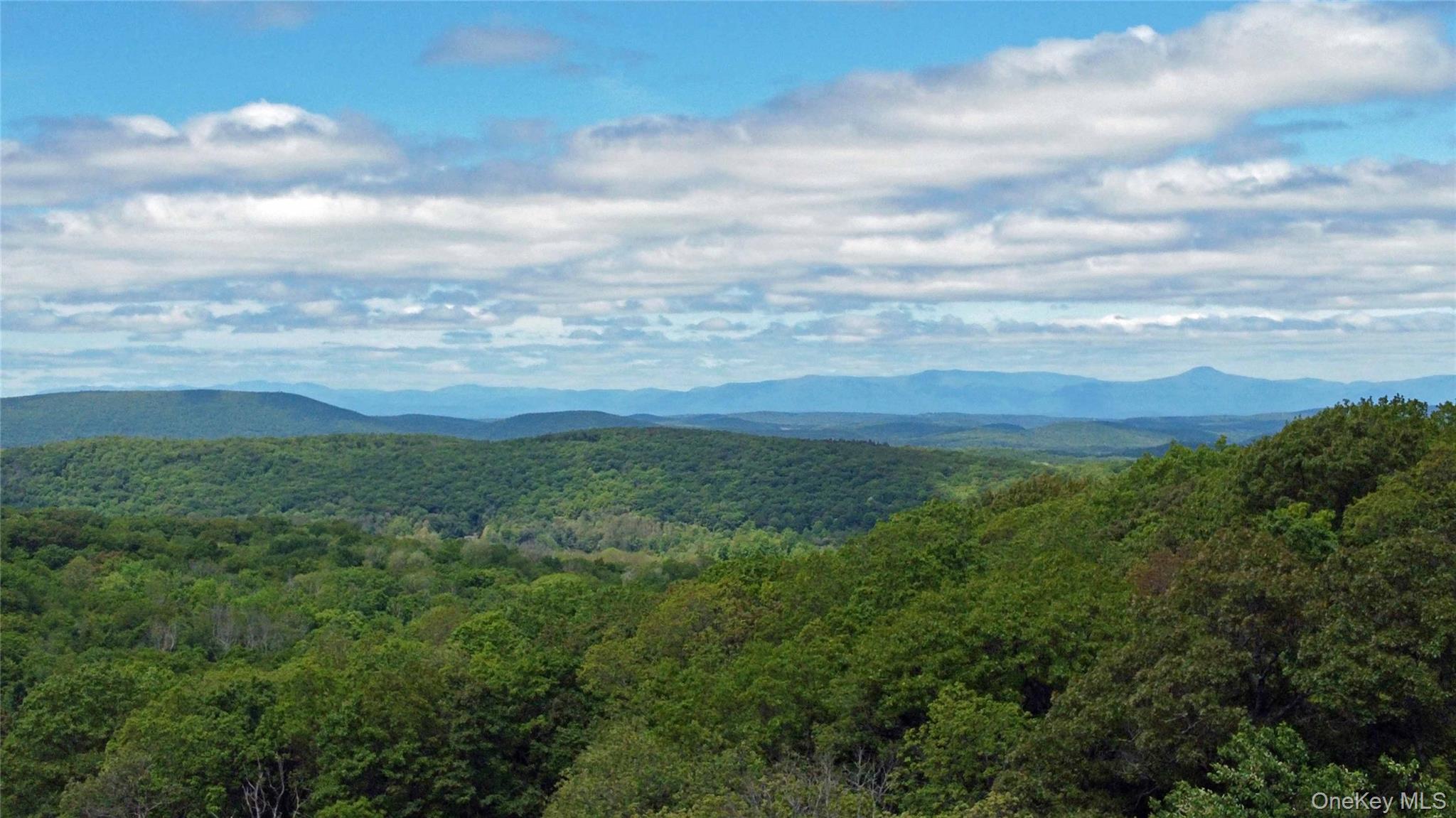 Skunks Misery Road Millerton, NY 12546 - Photo 18 of 23 a view of a big yard with lots of green space
