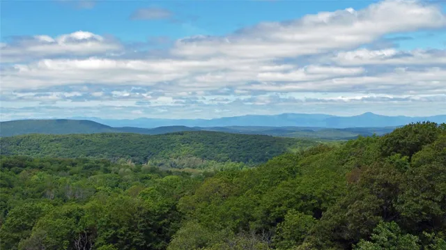 a view of a field with a field