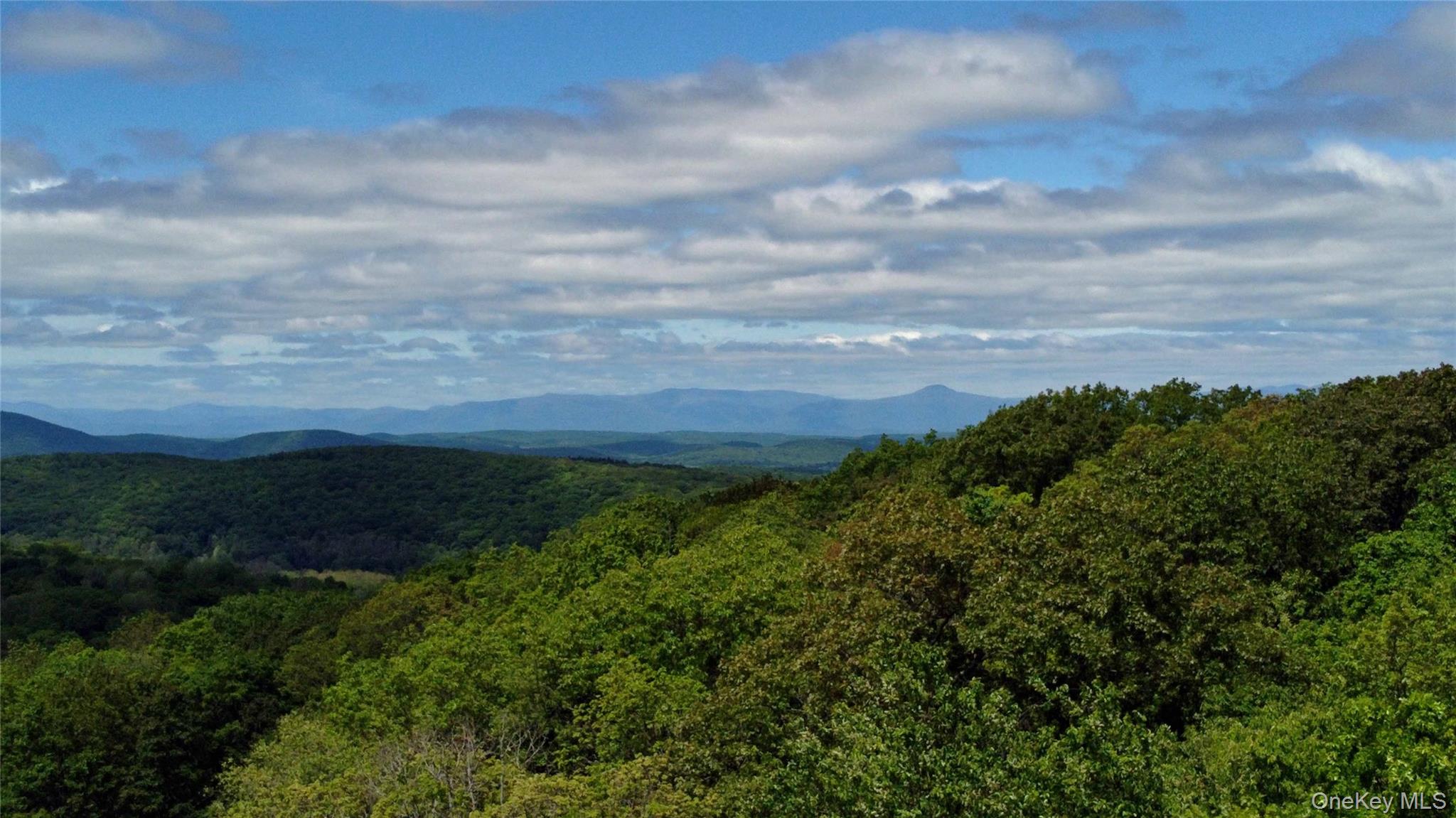 Skunks Misery Road Millerton, NY 12546 - Photo 19 of 23 a view of a bunch of trees in a field