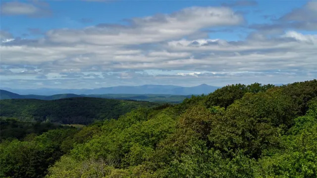 an aerial view of residential houses with outdoor space and lake view