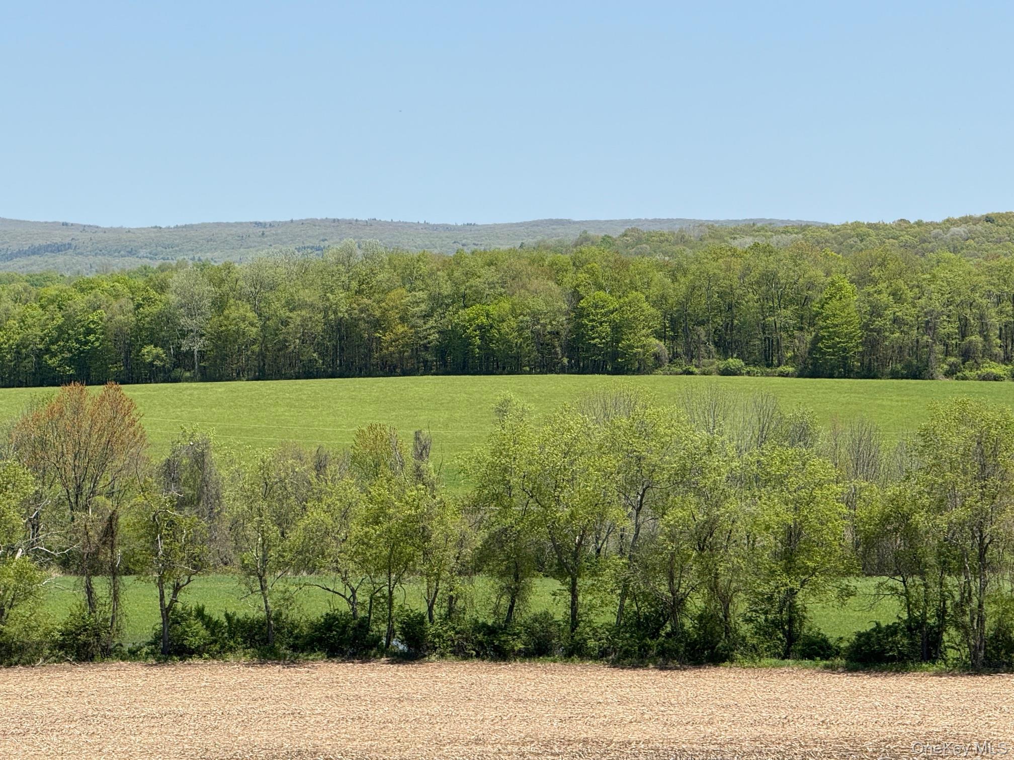 Skunks Misery Road Millerton, NY 12546 - Photo 20 of 23 a view of a field with a field