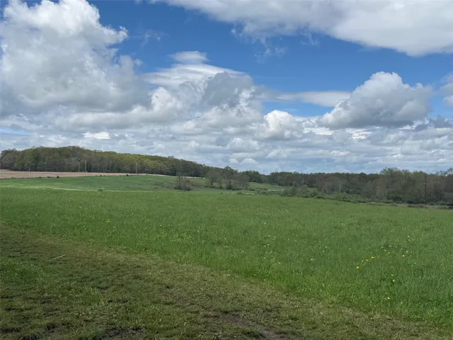 a view of a lush green forest with lots of trees
