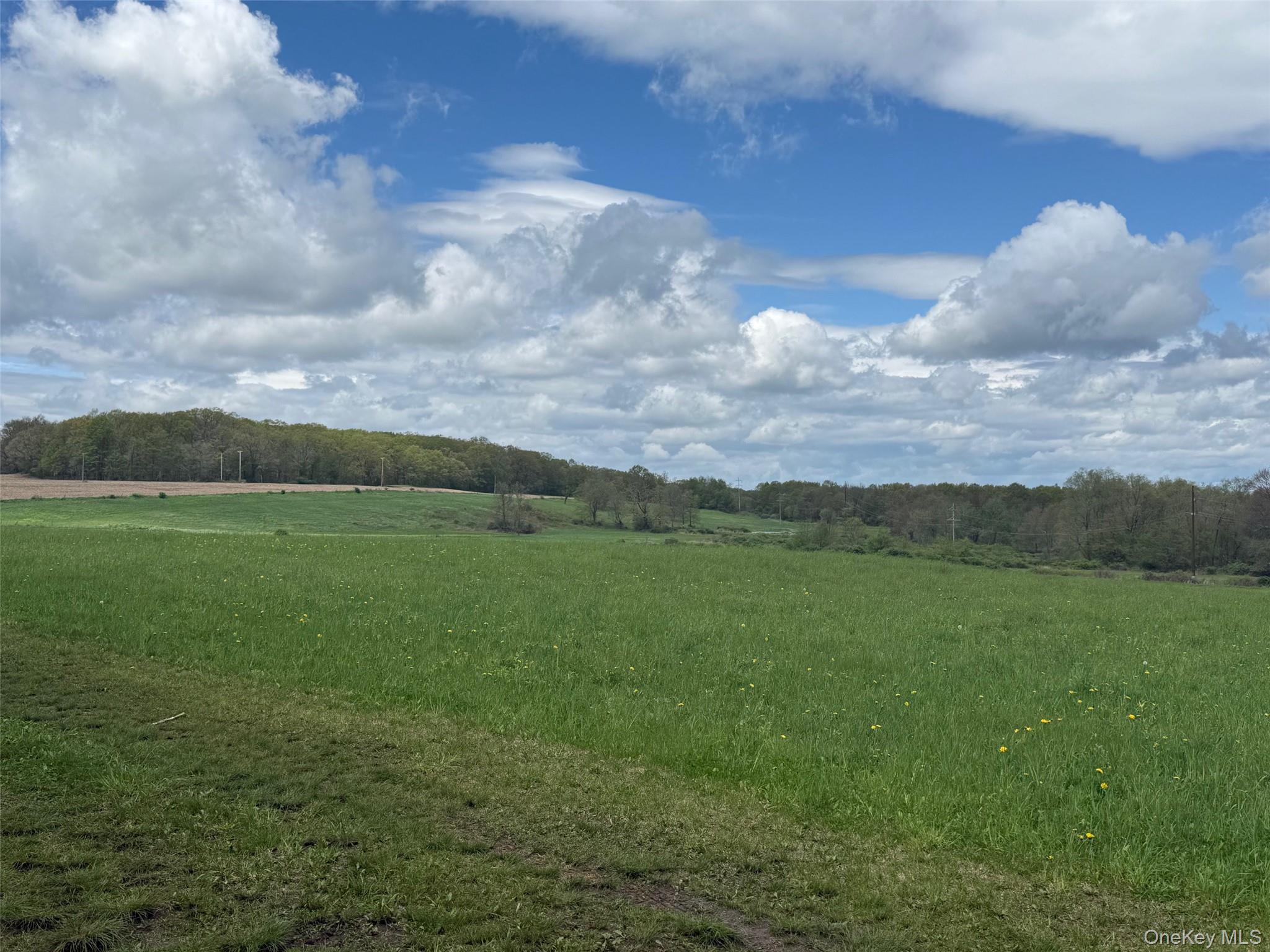 Skunks Misery Road Millerton, NY 12546 - Photo 2 of 23